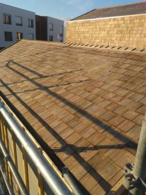 40 LOGEMENTS FACADES ET COUVERTURES PALAISEAU 91120 NEXITY 2